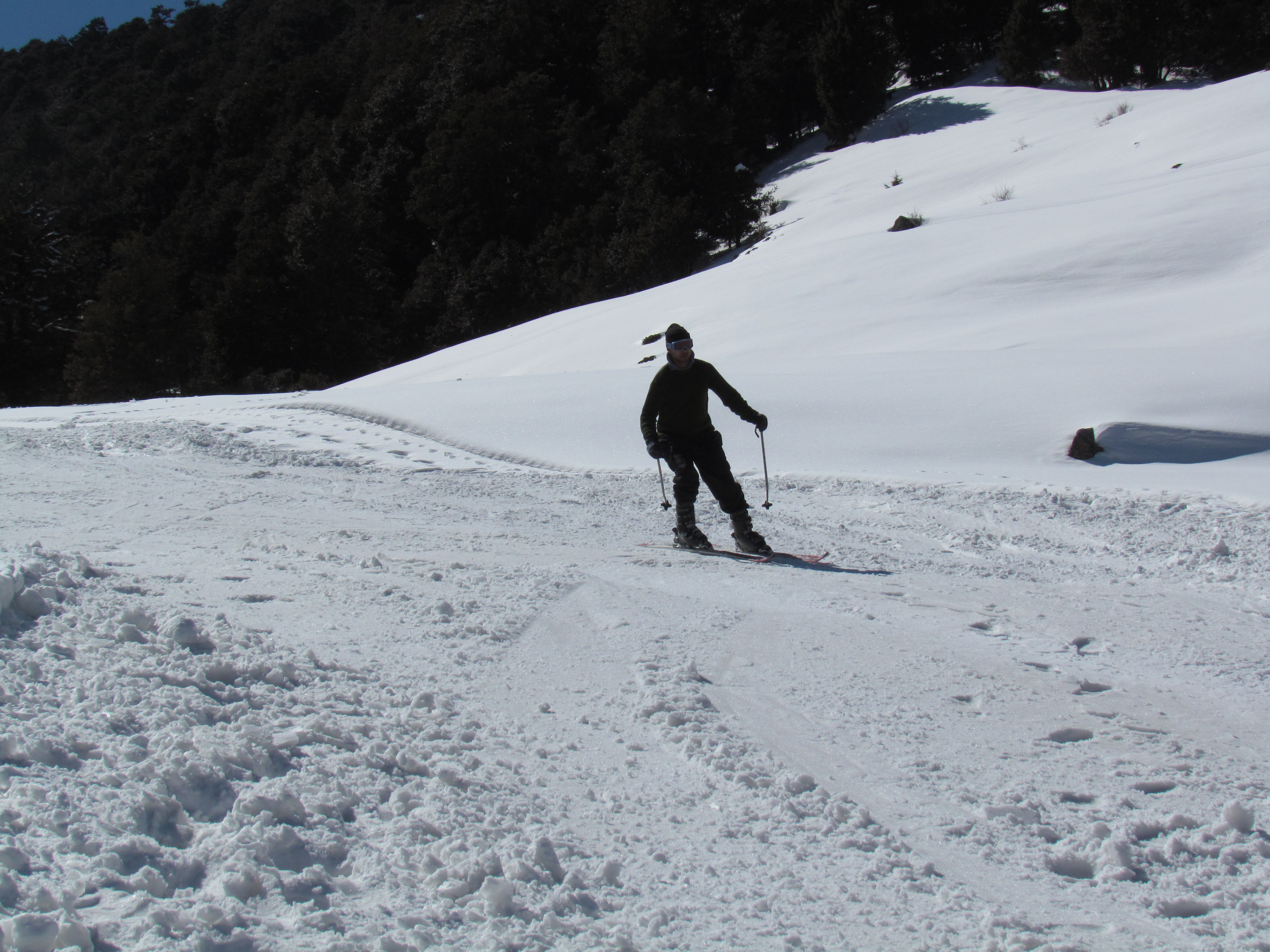 Pamposh Kaushik left turn at auli