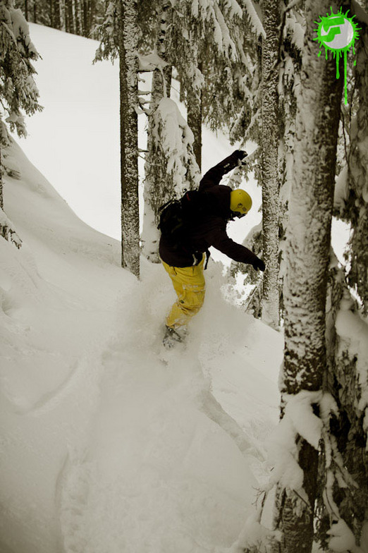 2012-02-17 |, Hochzillertal-Kaltenbach