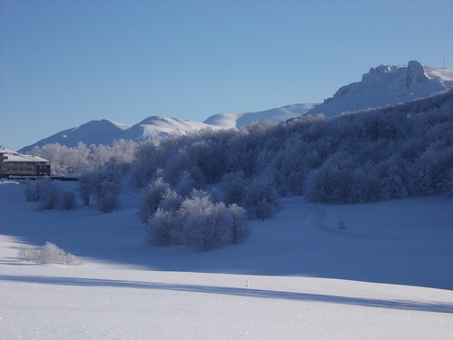 Stara Planina/Babin Zub Ski Resort by: nemanja