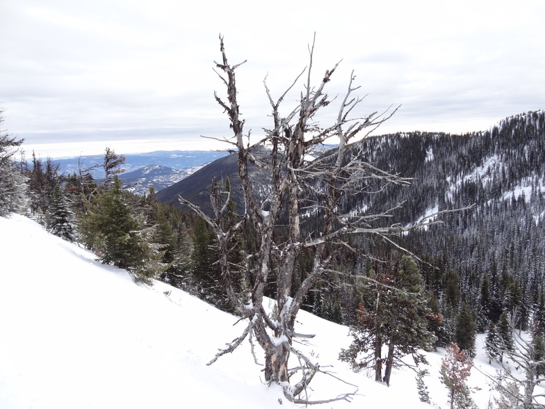 Skiing on the Wildside, Apex Resort