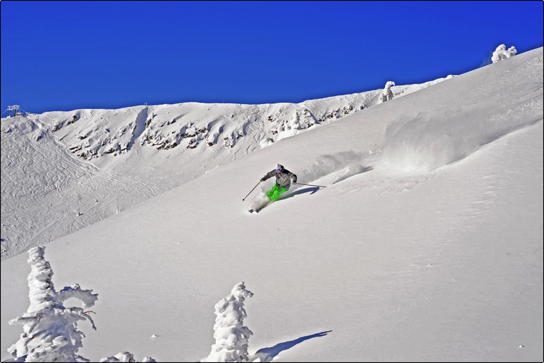 big white pow
