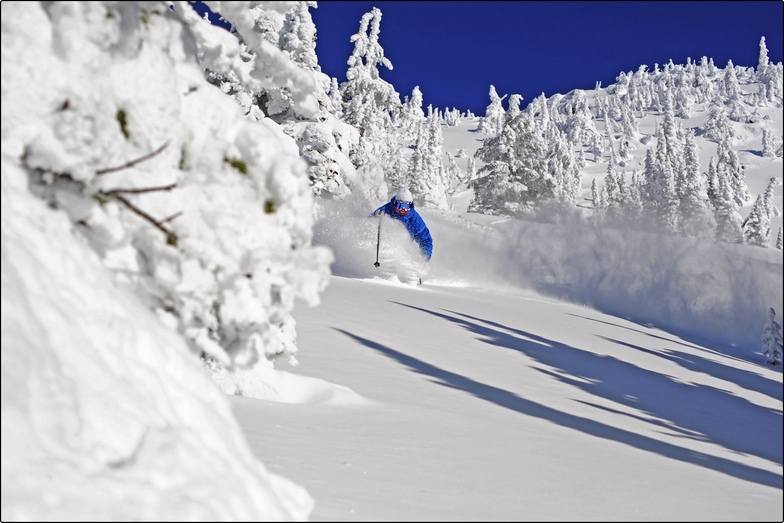 big white pow