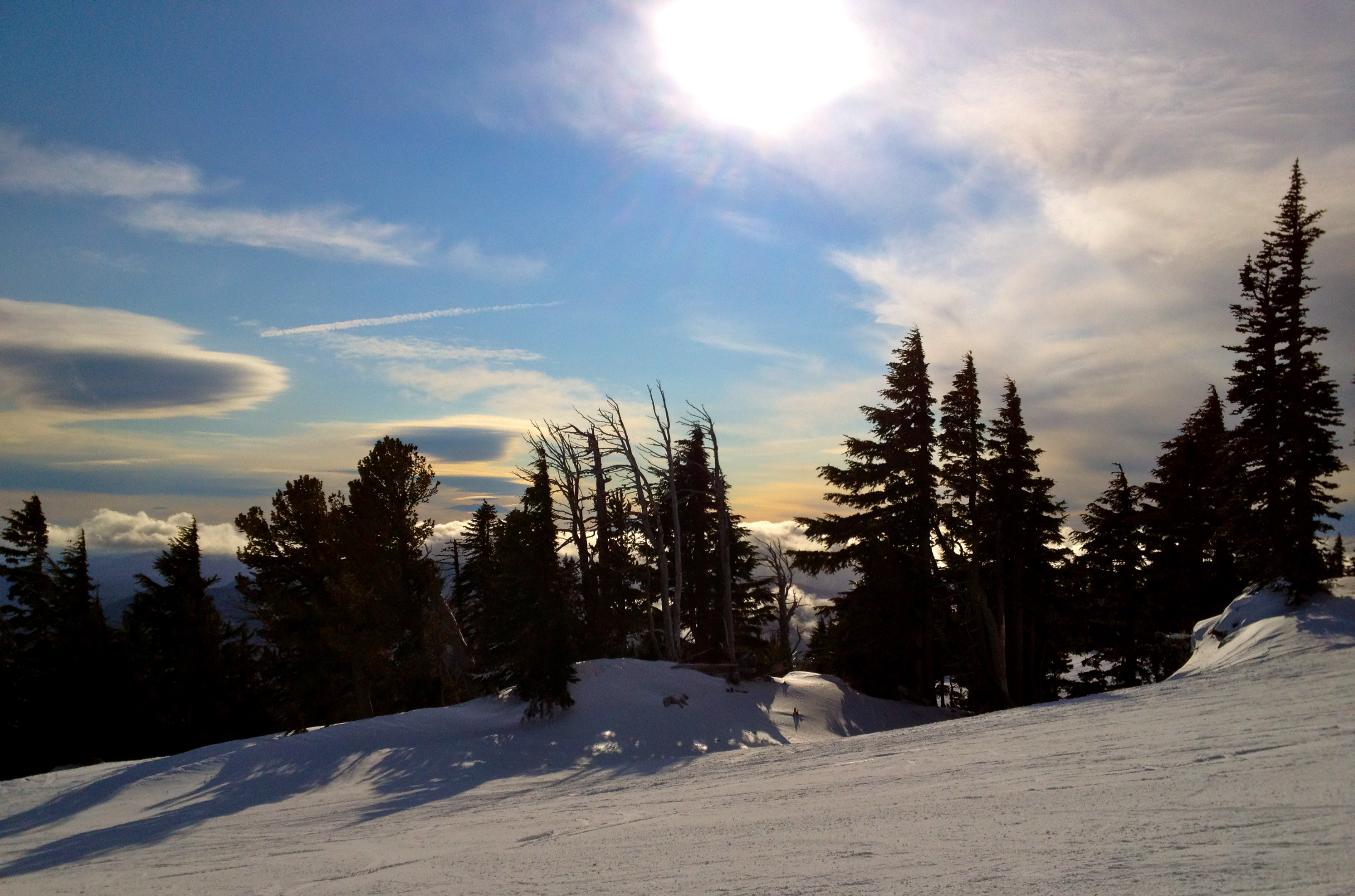 Finally some  Snow and  Sun!, Mt Hood Meadows