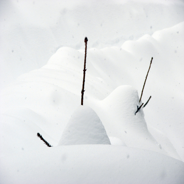 Over 200 cm. Of Snow, Mavrovo-Zare Lazarevski