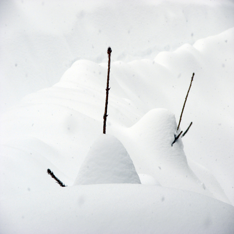 Over 200 cm. Of Snow, Mavrovo-Zare Lazarevski