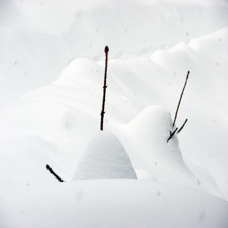 Over 200 cm. Of Snow, Resort Mavrovo
