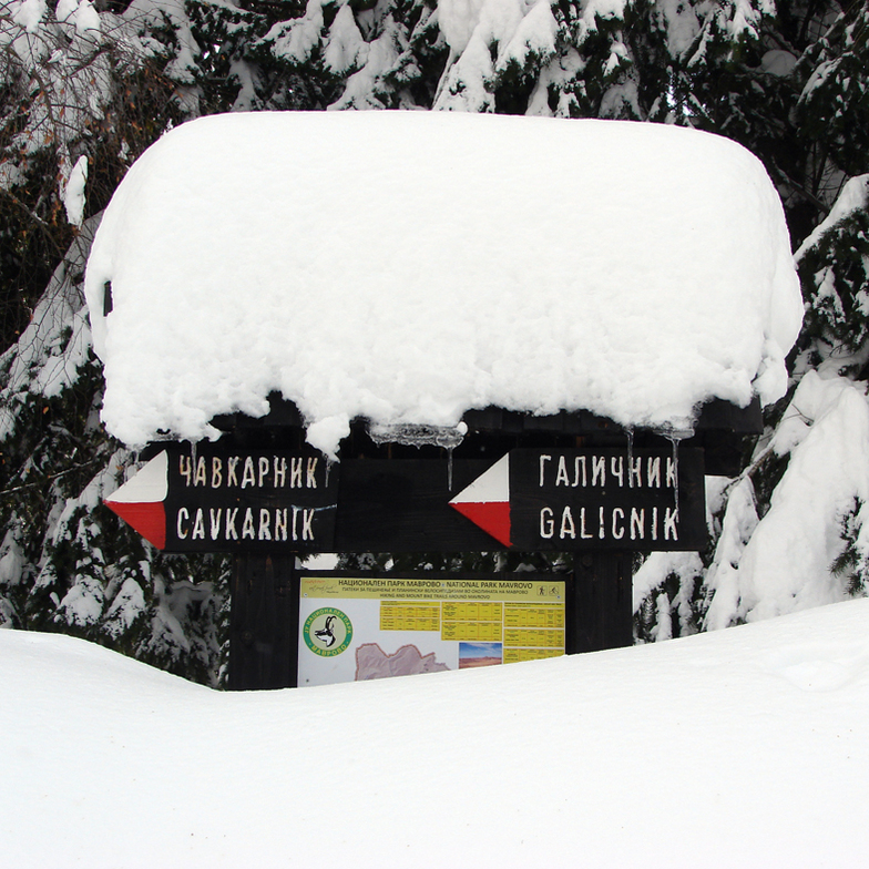 Where Is The Road?, Mavrovo-Zare Lazarevski