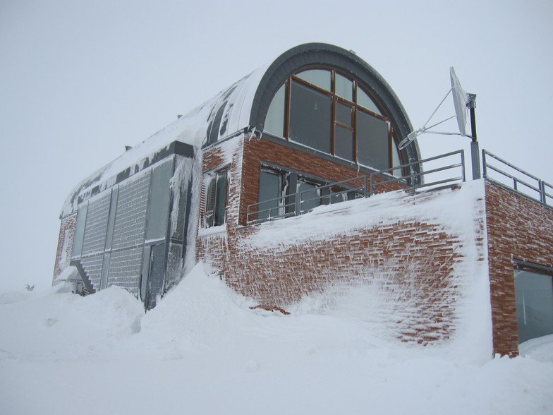 ROXANA Building, Cedars