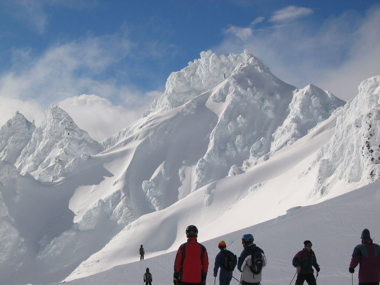 Whakapapa