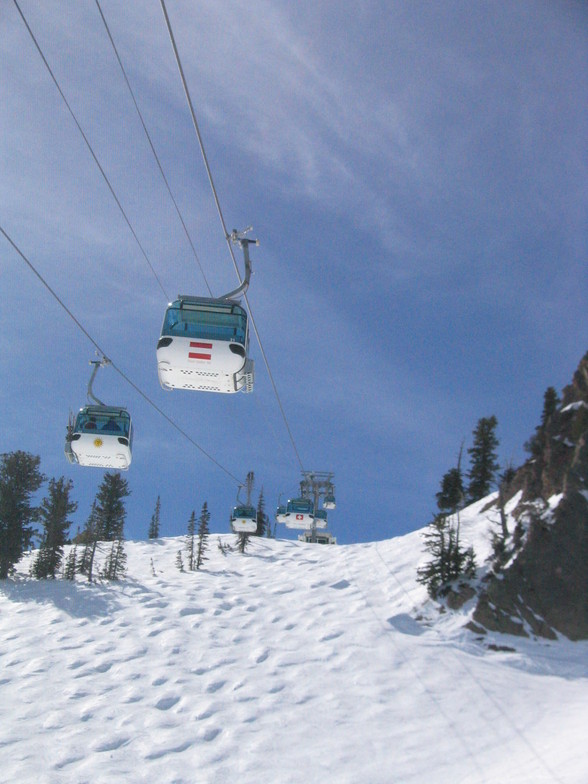 Under the Gondola @ Snowbasin