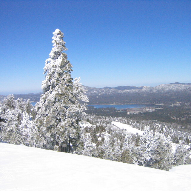 Fresh Powder on Good Friday at Bear Mtn, Bear Mountain