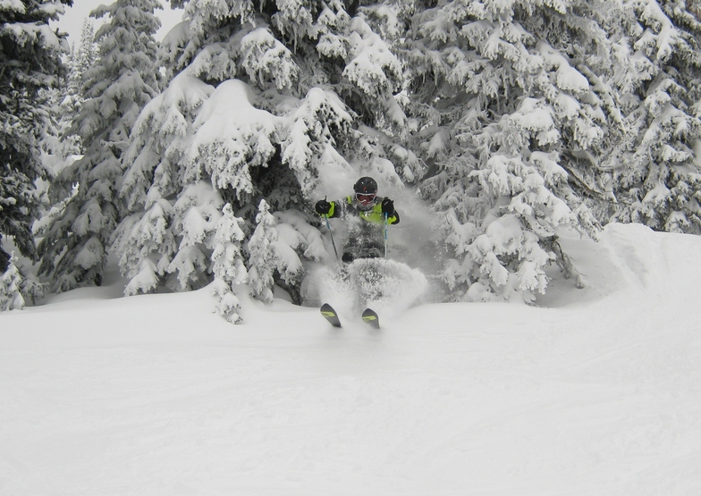 Playing in the Glades