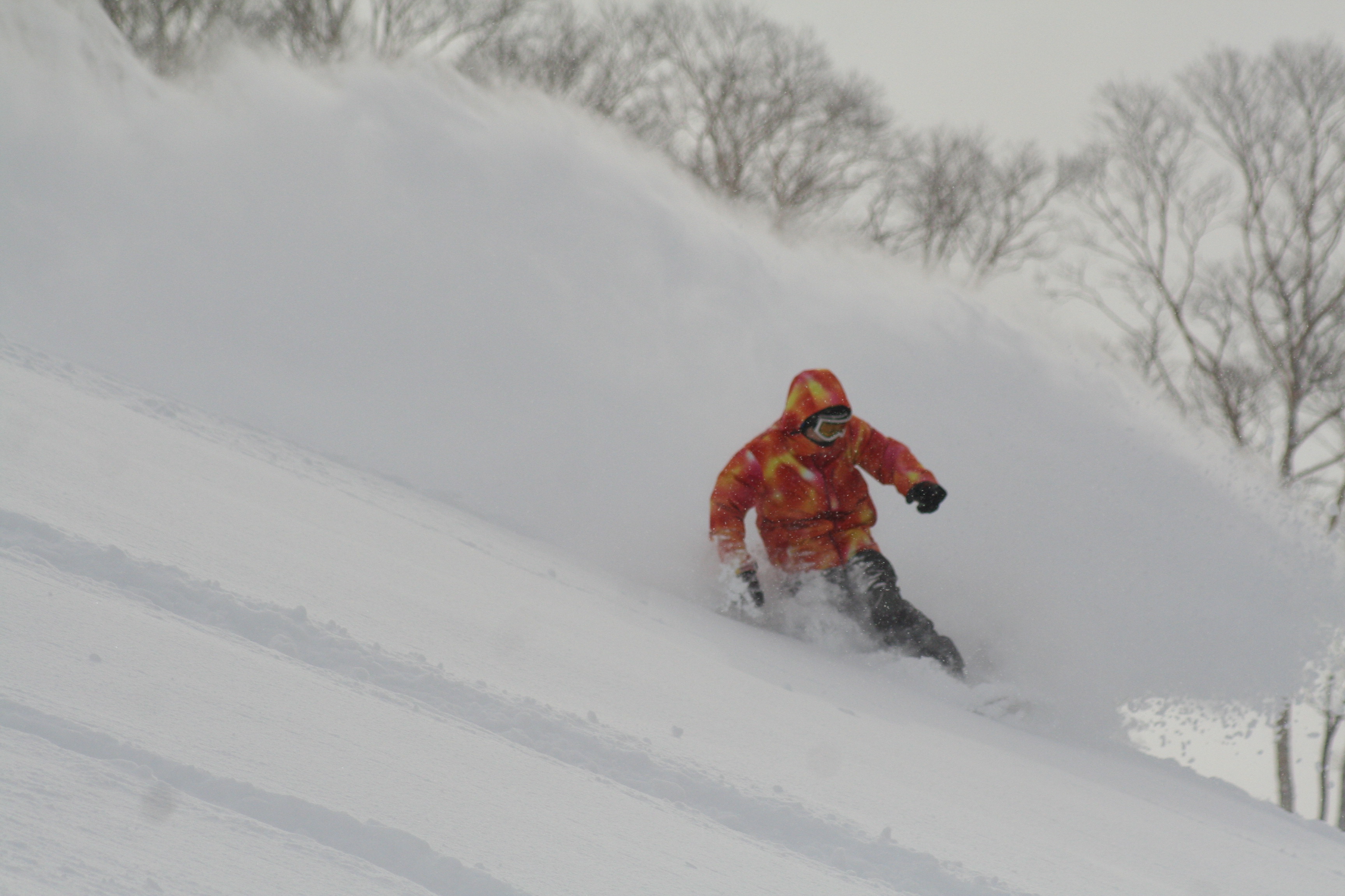 POWDER　RUSH！10, Winghills Shirotori Resort