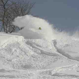 POWDER　RUSH！13, Winghills Shirotori Resort