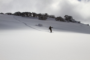 Aussie snow!, Thredbo photo