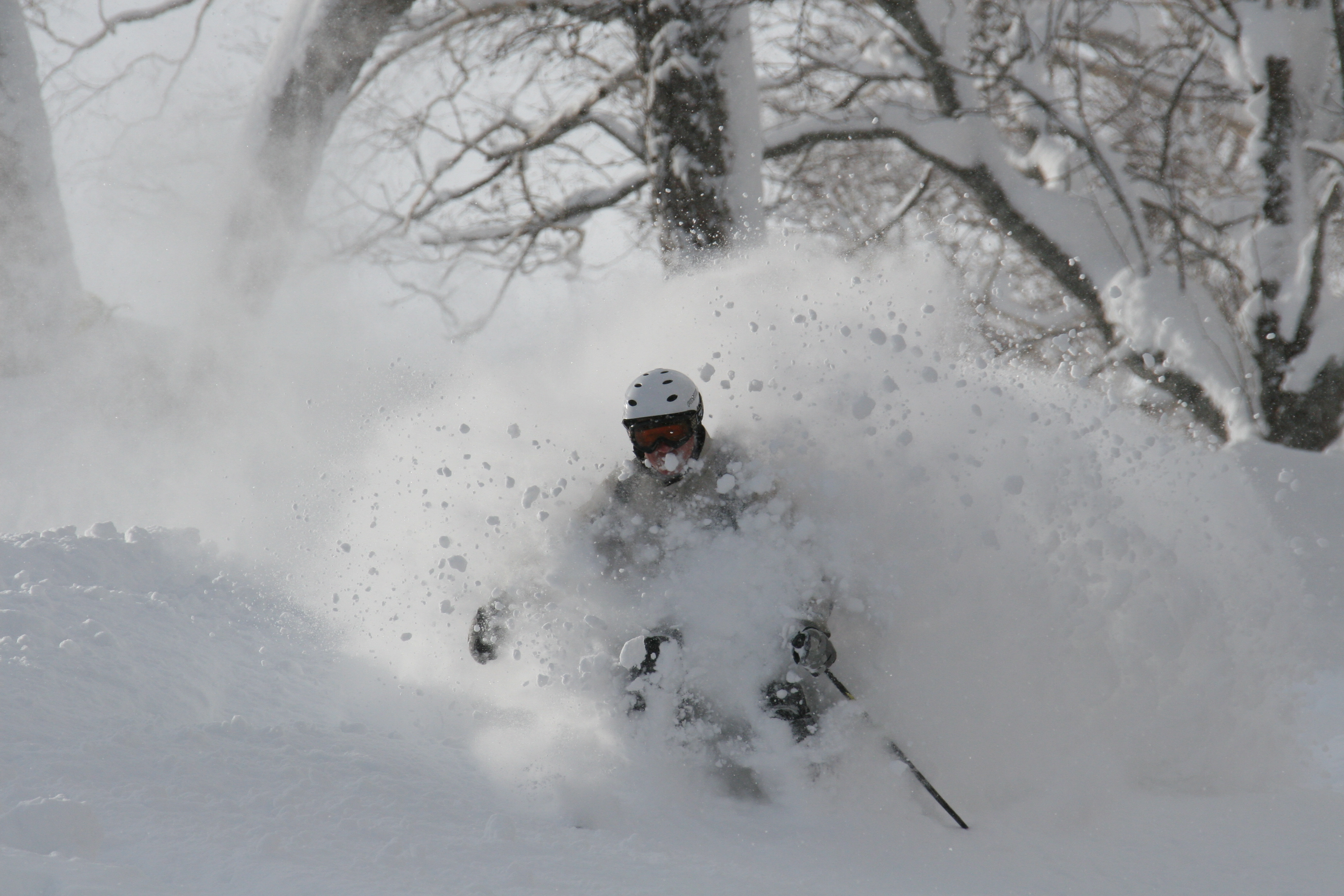 Big D at home in the pow!, Niseko Hanazono Resort