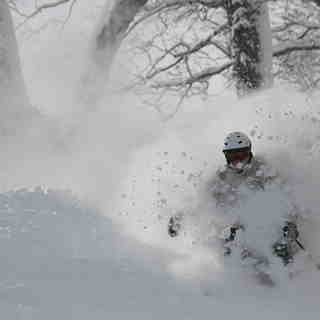 Big D at home in the pow!, Niseko Hanazono Resort