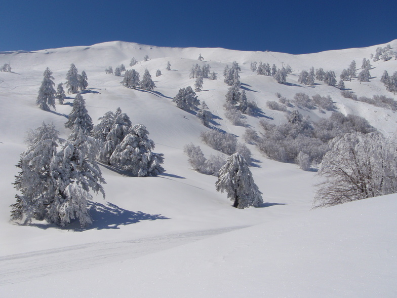 Vasilitsa 14 March 2012