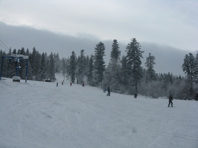 Oryavchik 19.02.2012
