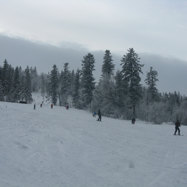 Oryavchik 19.02.2012