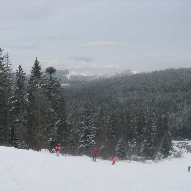 Oryavchik 19.02.2012