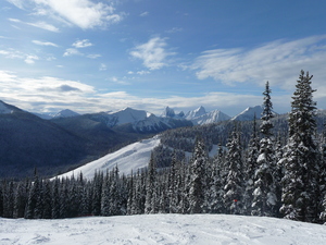 Orange Chair, Manning Park Resort photo