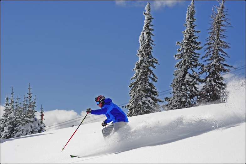 big white