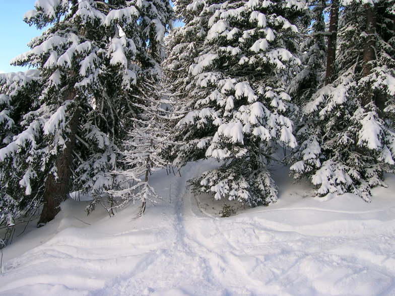 Courmayeur Backcountry