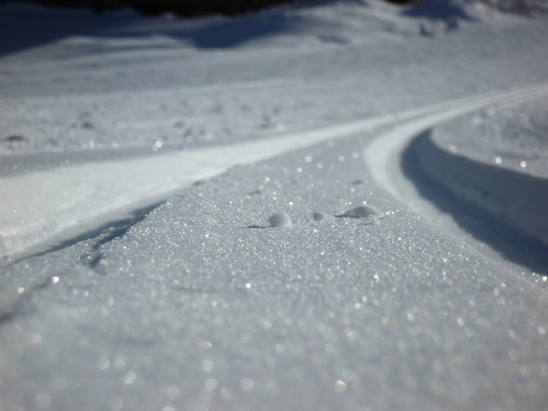 Perfect March Snow, Sovereign Lake Nordic Centre