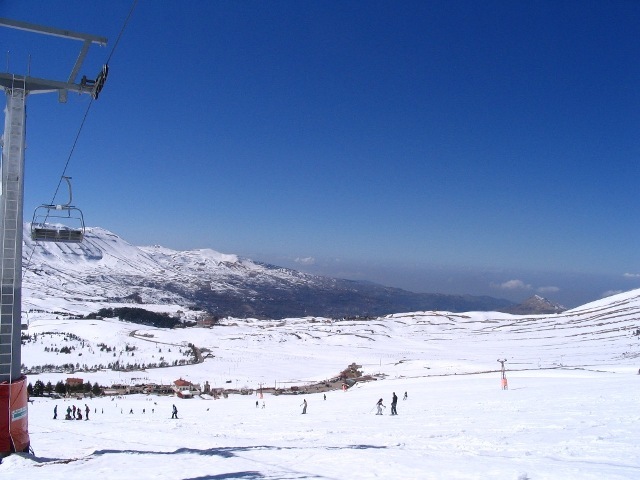 Lebanon, Cedars