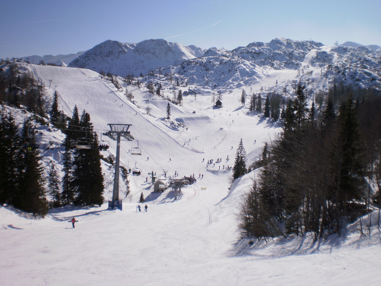 Vogel 17.02.12.