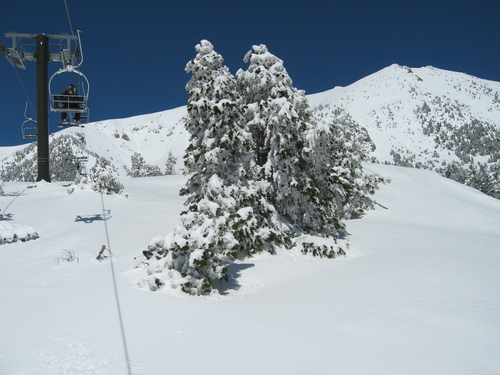 Vallter 2000 Ski Resort by: Montse