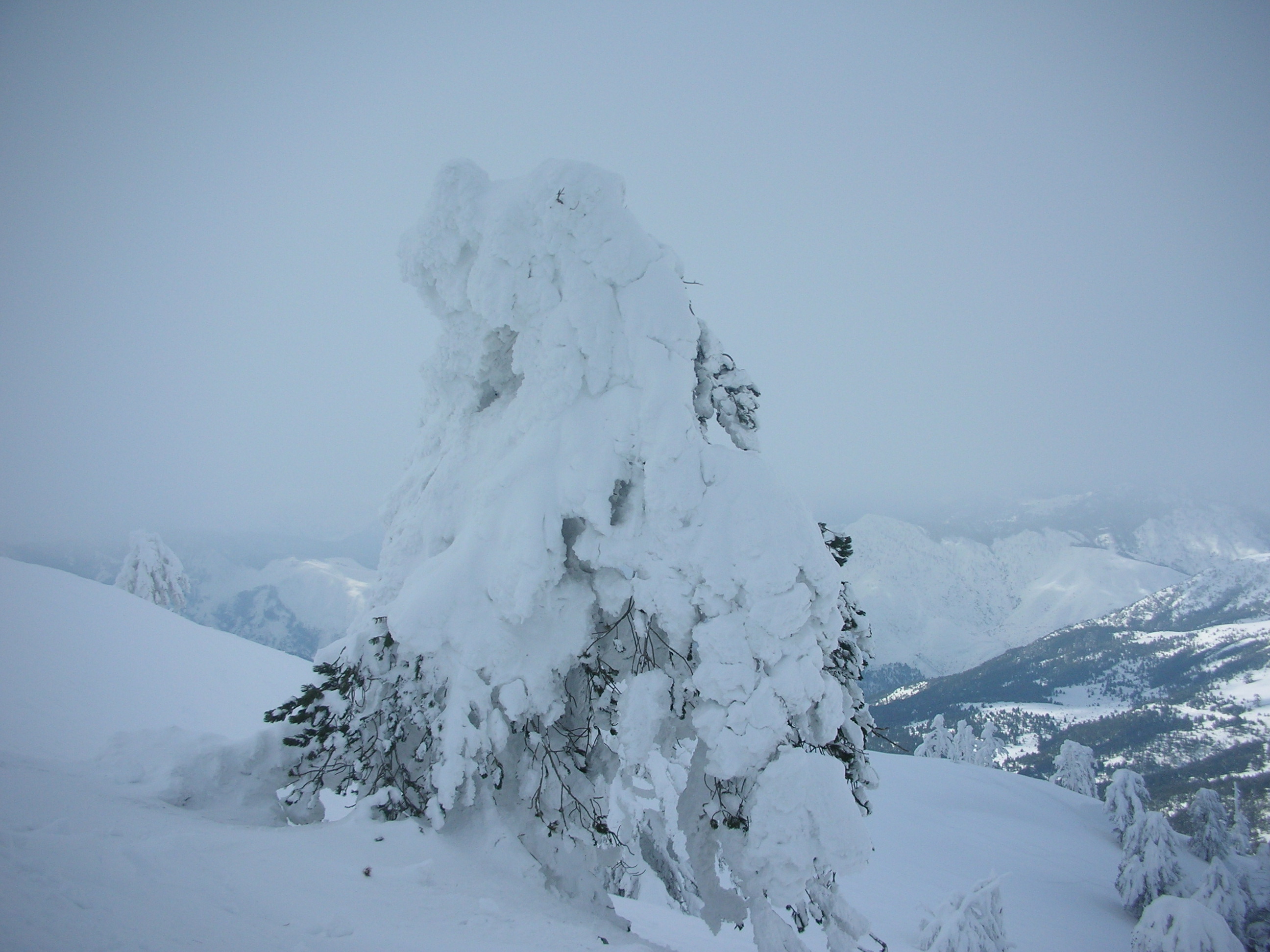 Deepest winter in Greece, Vasilitsa