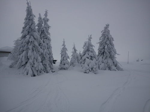 Chepelare Ski Resort by: Nikolay Boychev