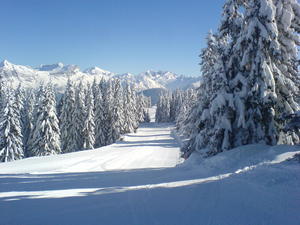 Megeve, France - early morning, empty piste! photo