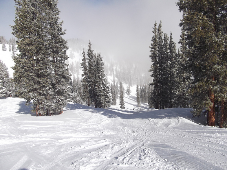 Winter Park