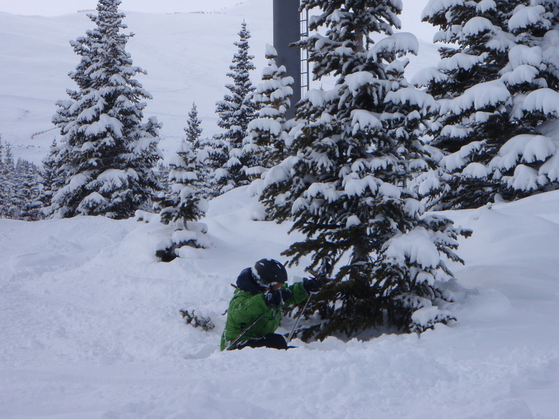 That tree again !, Breckenridge