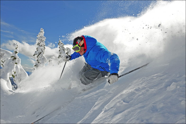 big white