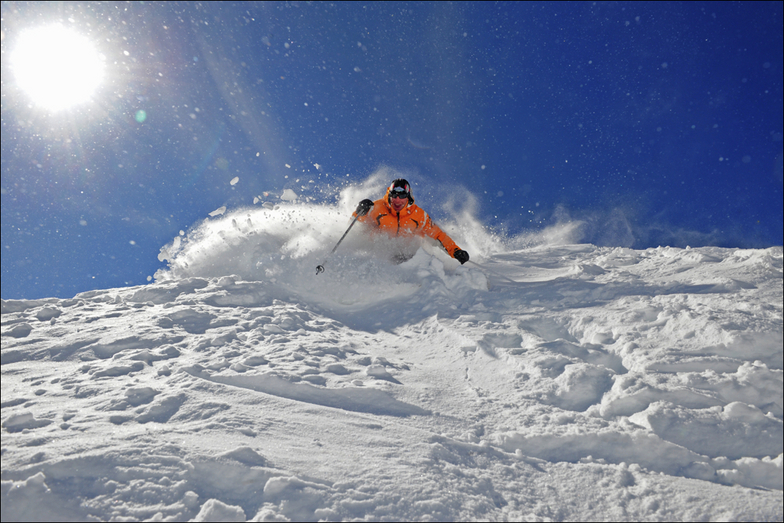 big white