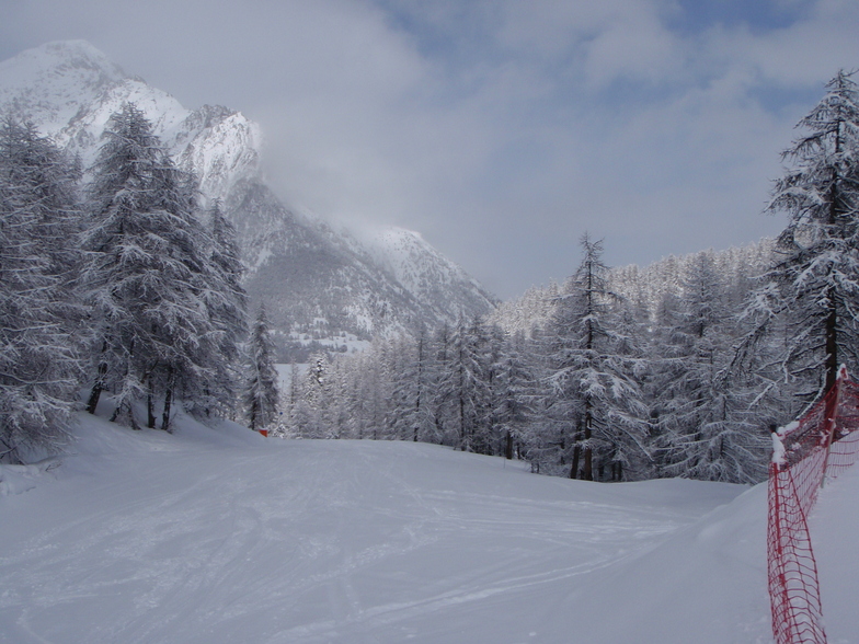 Fresh Pow, Montgenèvre (Vialattea)