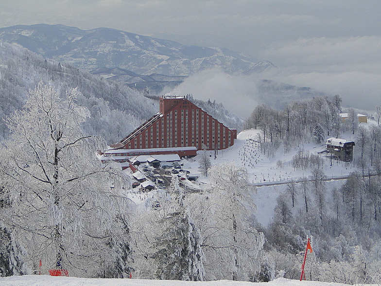 BERAT ADALI KARTEPE 2012 PHOTOS