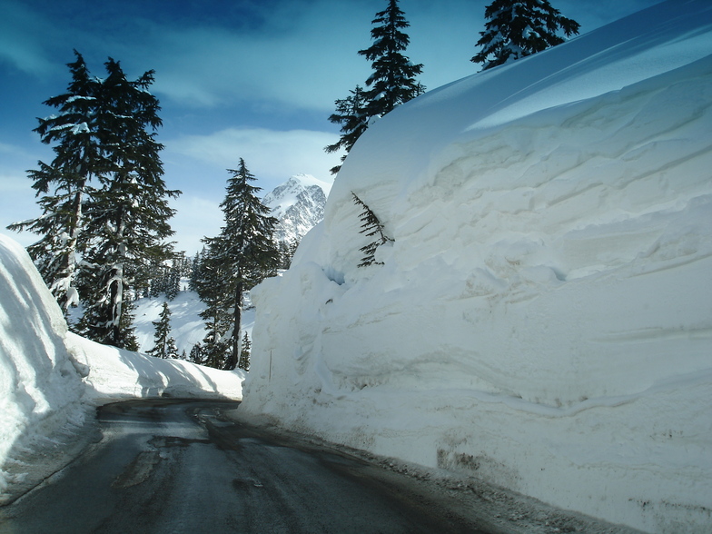 30 feet at Mount Baker