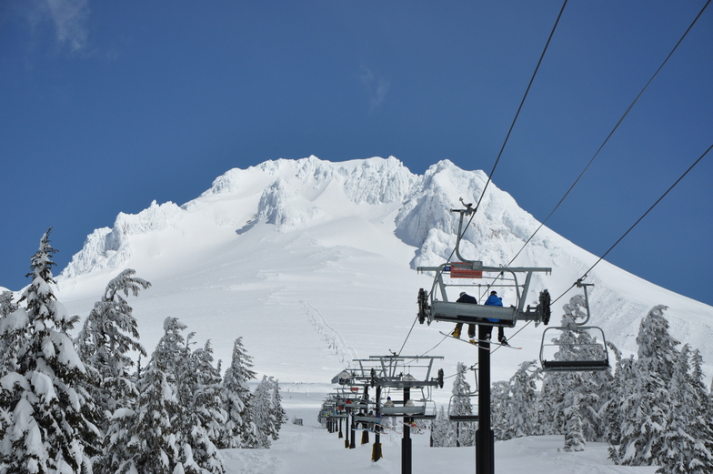 Stormin Normin, Timberline