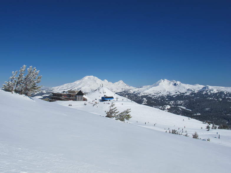 Pine Marten, Mt Bachelor