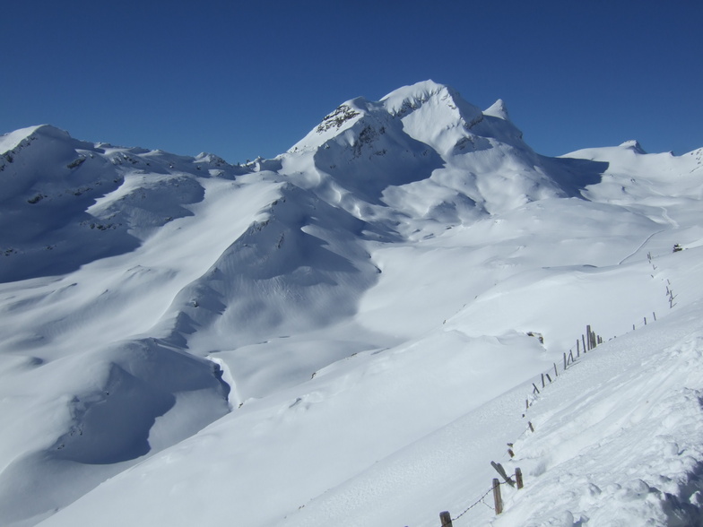 Perfect snow, Grindelwald