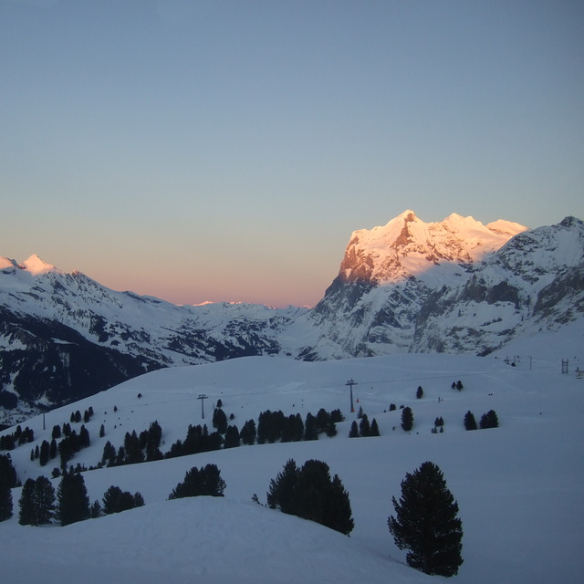 Wengen Snow: End of a perfect day
