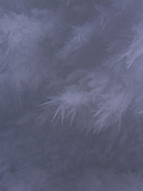Frost Crystals, Söll