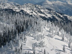 Big Mountain, Montana, Big Sky photo