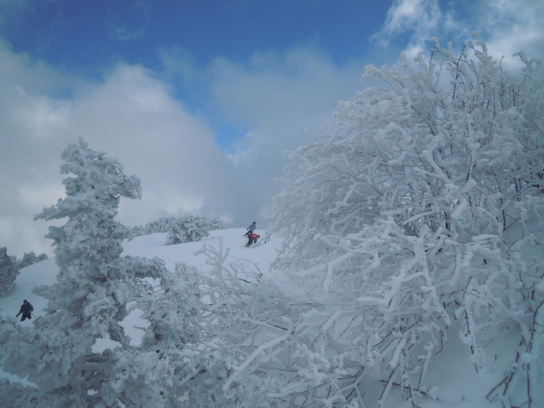 Fresh snow on North Face