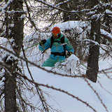 trees, Ski Area Alpe Lusia